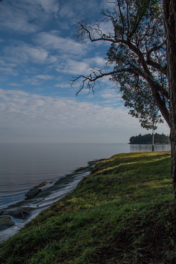 spring light on the point