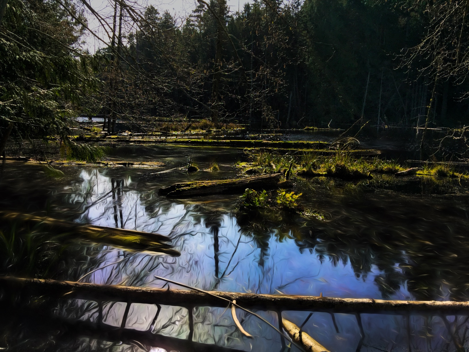 Early Spring at Finlay Lake | Curious Spectacles